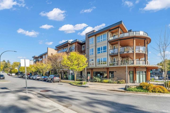 308 - 733 W 14th Street, Mosquito Creek, North Vancouver 